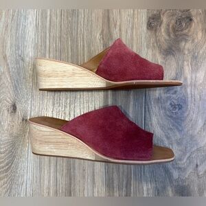 Treasure & Bond Suede Slide Sandals – Size 7M – LNC